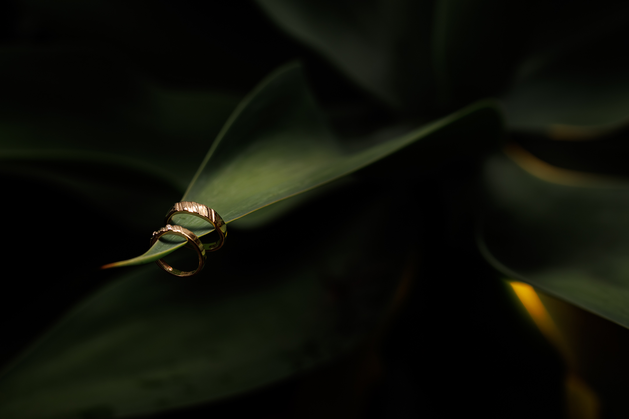 Fotografía de boda editorial